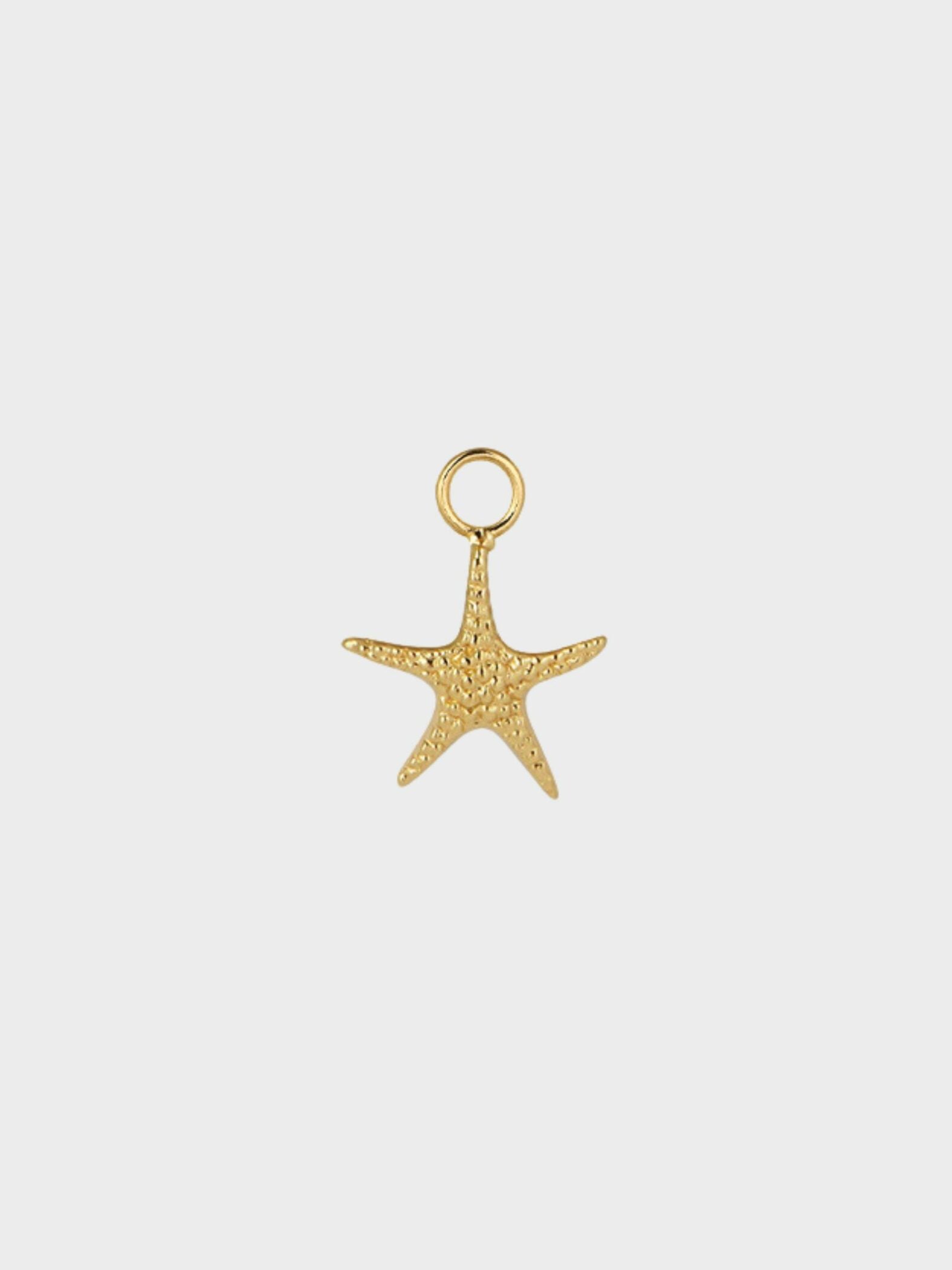 Starfish Charm